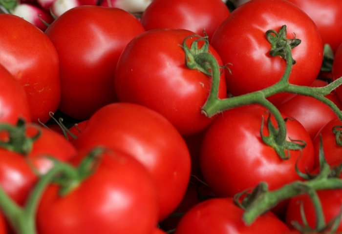 ÝTÖB türkmen pomidor öndürjisine $2.5 million karz serişdesini berýär