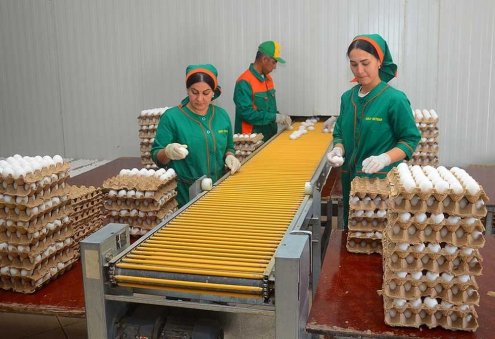 Туркменский предприниматель экспортирует 10-15 млн яиц в месяц