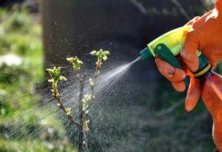 На Туркменабатском химзаводе планируется наладить производство жидких удобрений