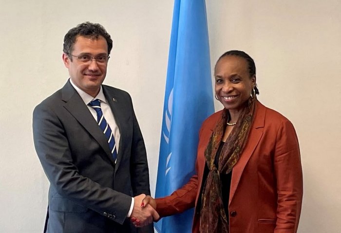 Türkmenistan we UNIDO Wenada LLDC3 maslahatyna görülýän taýýarlyk işlerini maslahatlaşdylar