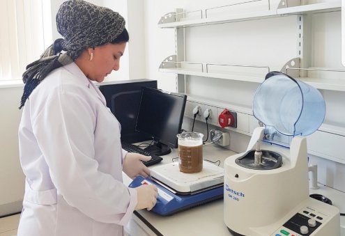 Türkmenistanda ýasy ýaprakly senna tohumy esasynda ösümlik kofesi işlenilip düzildi