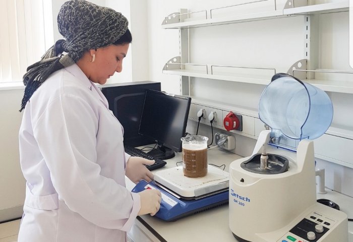 Türkmenistanda ýasy ýaprakly senna tohumy esasynda ösümlik kofesi işlenilip düzildi