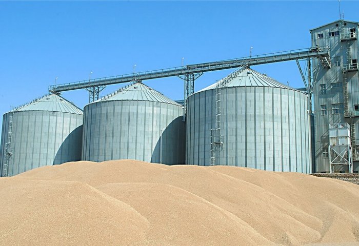 Turkmen Grain Processing Enterprise’s Revenue Exceeds 20 Million Manats