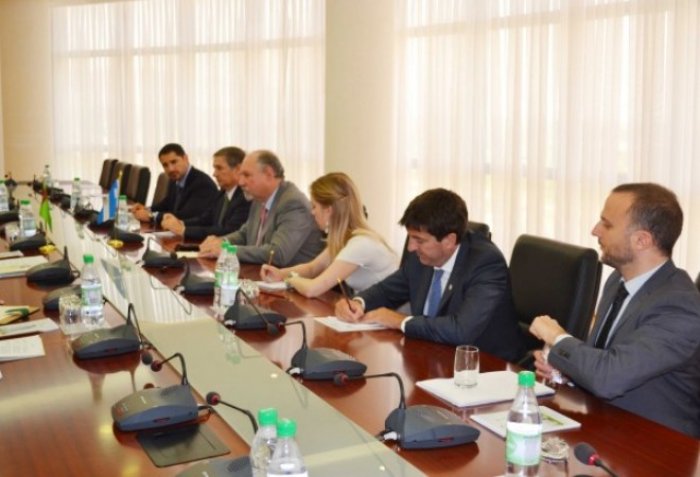 Turkmen-Argentine Cooperation Discussed at Turkmen MFA