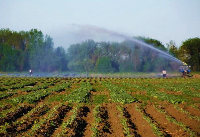 Turkmen Entrepreneur Introduces Device For Water Recycling