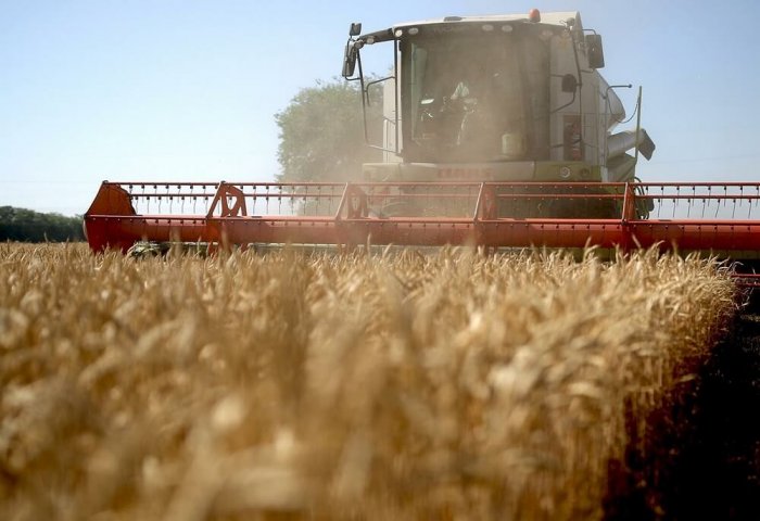Russia Increases Its Wheat Export Duty to $41.3 Per Ton