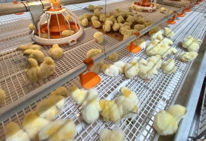 “Nurly meýdan” her aý 200­-250 müň jüý­je alýar