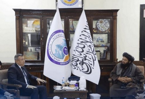 Türkmenistan we Owganystan TOPH taslamasynyň durmuşa geçirilişine garadylar