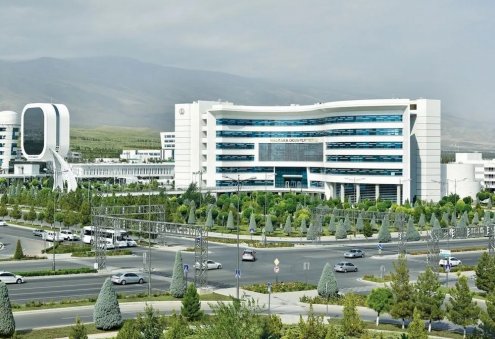 В Туркменистане планируется открыть центр традиционной китайской медицины