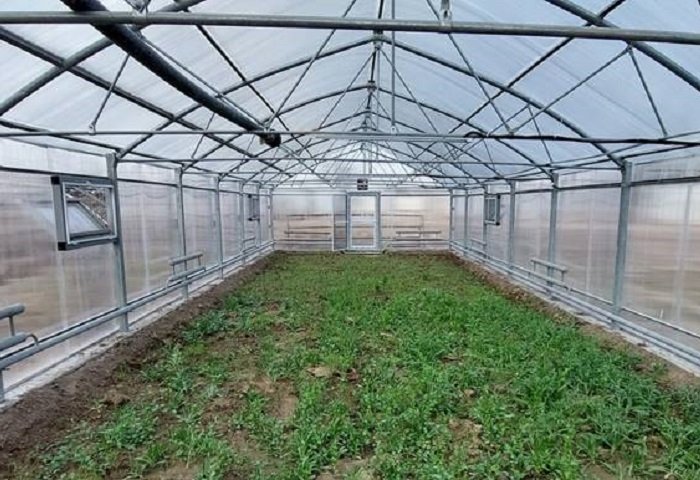 New Greenhouses Open in Turkmenistan With International Project’s Assistance