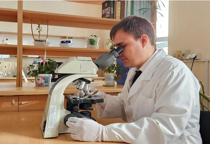 Turkmen Scientists Develop Medicinal Ointments Using Juniper Extracts