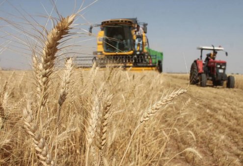 Global Food Prices Drop Slightly in October: FAO