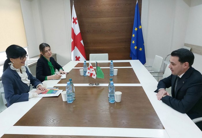 Turkmenistan’s Ambassador Meets Georgian State Minister