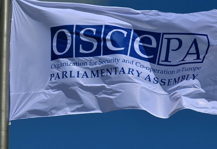 Central Asian Parliamentarians, OSCE Consider COVID-19 Pandemic Related Issues
