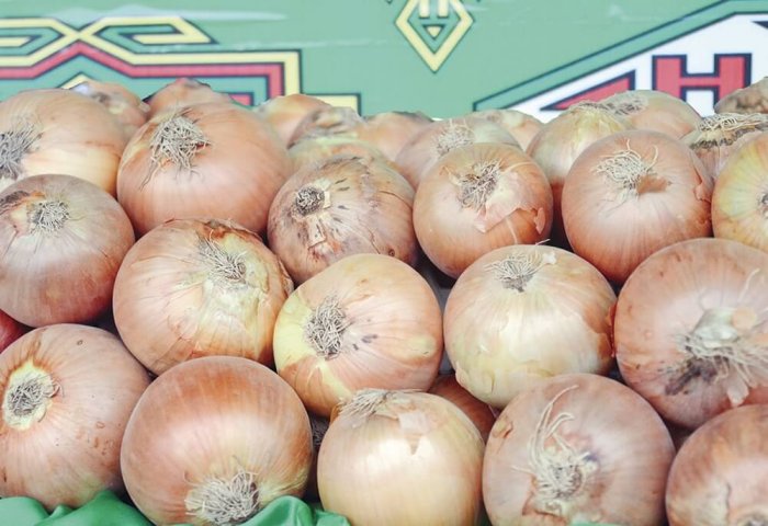 Farmers in Turkmenistan’s Dashoguz Increase Sowing of Winter Onions