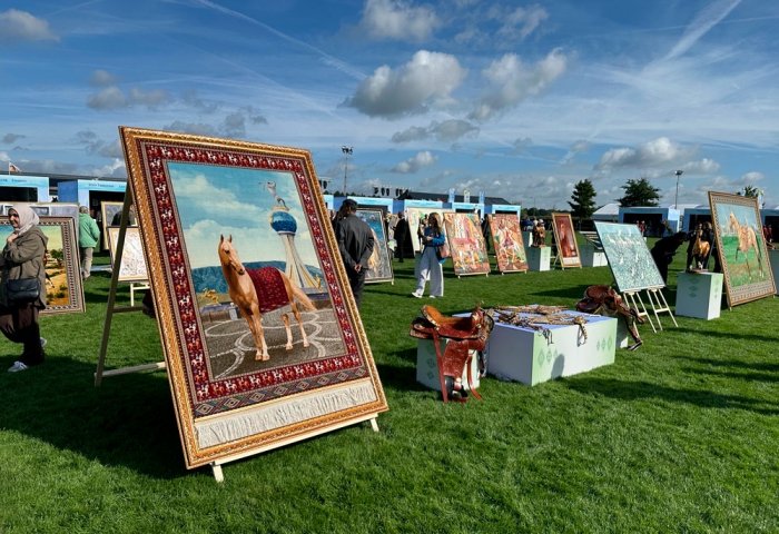 International Exhibition-Fair Dedicated to Akhal-Teke Horse Breeding Held in Netherlands