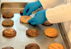 Turkmenistan Develops Yeast-Free Dietary Bread Product From Local Bio-Resources