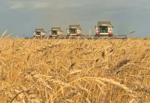Kazakhstan Lifts Restrictions on Wheat, Flour Exports