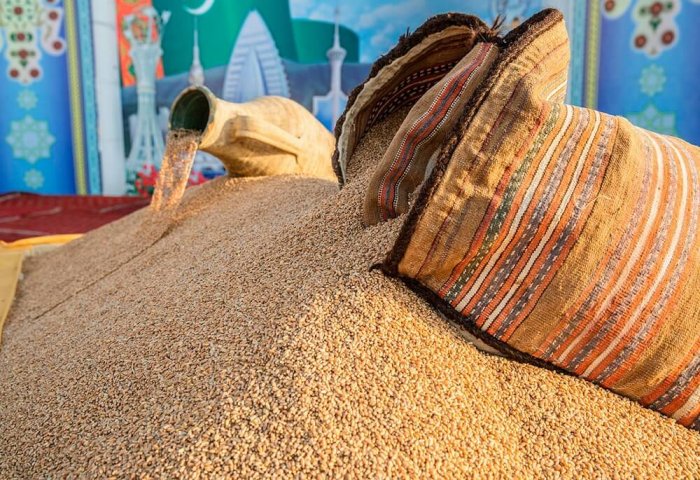 Turkmen Grain Mill Processes Over 19 Thousand Tons of Wheat