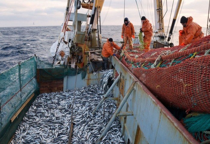 Dagestan to Supply Fish, Flour and Glassware to Turkmenistan