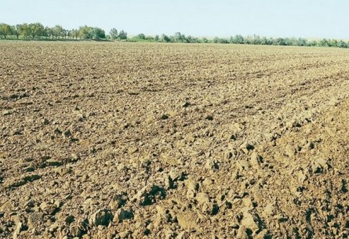 Türkmenistanda topragyň şorlaşmagyna garşy serişdeleri döretmekde ylmy-barlag işler alnyp barylýar