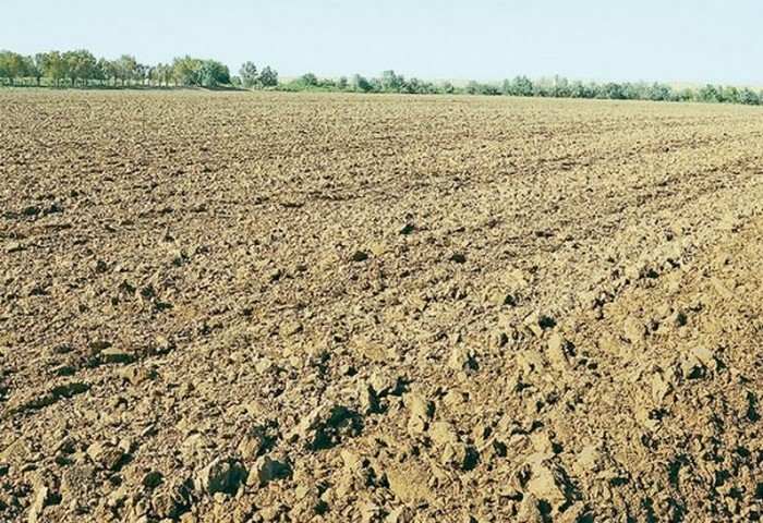 В Туркменистане ведутся исследования по созданию средств против засоления почв