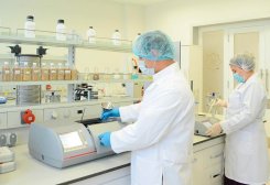 Туркменские ученые разработали биотехнологический материал для борьбы с опустыниванием