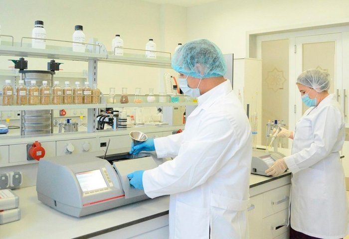 Туркменские ученые разработали биотехнологический материал для борьбы с опустыниванием Туркменские ученые разработали биотехнологический материал для борьбы с опустыниванием