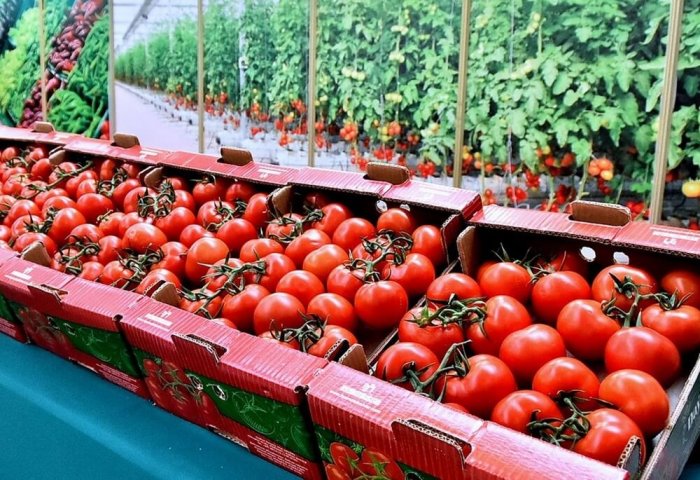 Туркменистан стал крупнейшим экспортером помидоров в Кыргызстан
