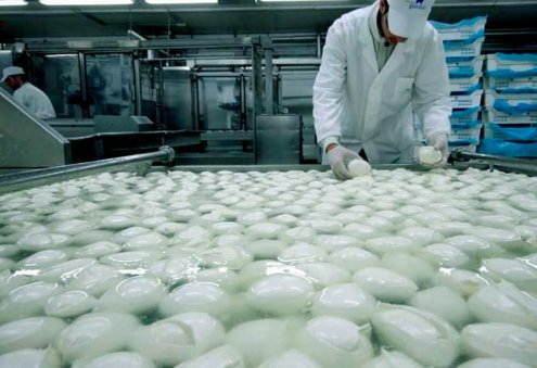 «Ak Depe Hyzmat» наладит производство сыра моцарелла