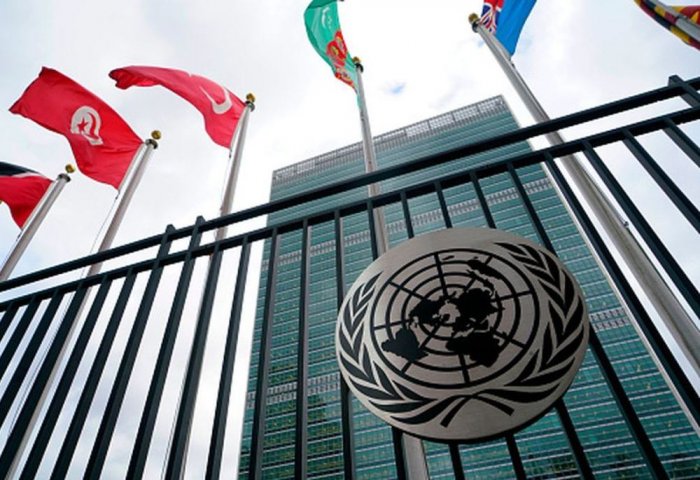 Туркменистан координирует действия по противодействию инфекционным заболеваниям с ООН
