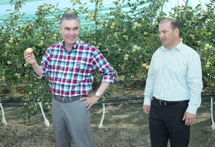 Turkmen Leader Praises Work of Agricultural Producer in Mary Velayat