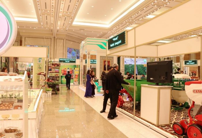 Правовые гарантии предпринимателя в Туркменистане