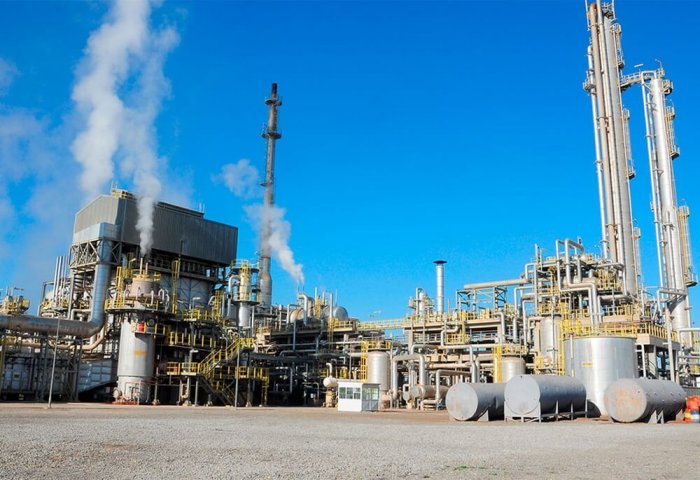 Turkmenistan Considers Attraction of Foreign Investments For Urea Plant’s Reconstruction