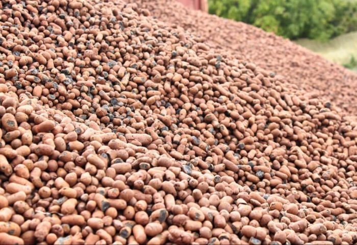 Turkmen Plant Produces Expanded Clay Worth Over 10 Million Manats