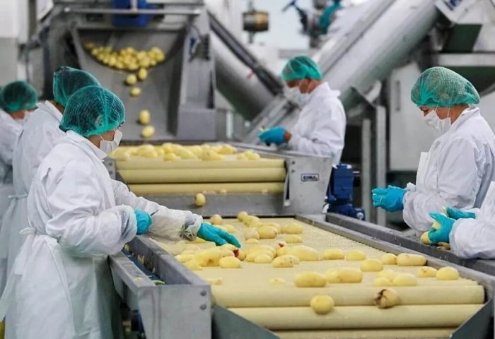 Turkmenistan Targets Food Waste Reduction With Assistance of FAO, Türkiye