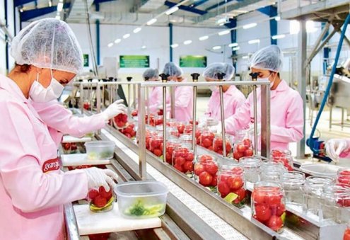 Turkmenistan Successfully Implements Food Independence Strategy, Says Expert Trapeznikov