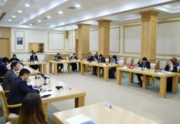 Turkmenistan, UN Exchange Views on Joint COVID-19 Prevention Measures