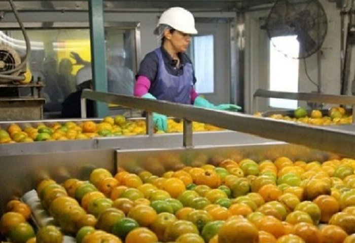 EBRD Lends $2.5 Million to Turkmen Food Products Producer Parahat
