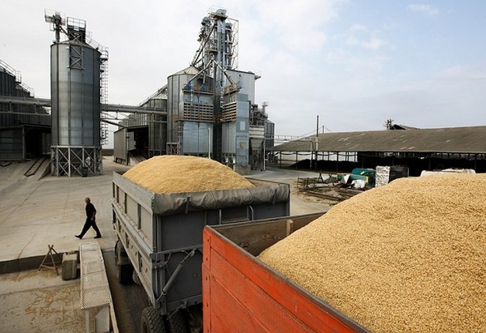 Kazakhstan Increases Its Grain Supplies to Turkmenistan by 27%