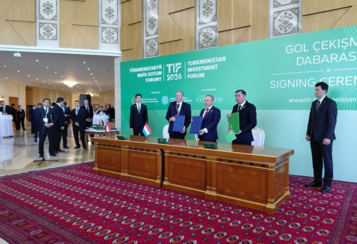 На TIF 2026 подписаны документы о международном сотрудничестве