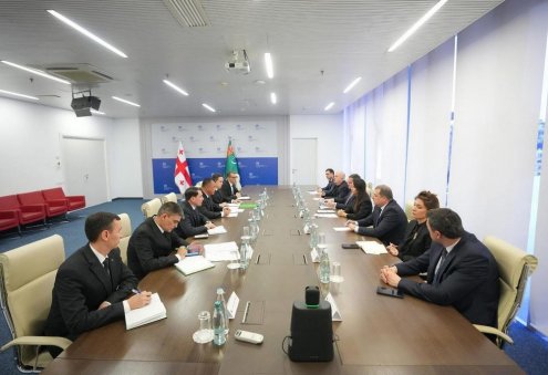 Туркменистан и Грузия обсудили расширение торгово-экономического сотрудничества