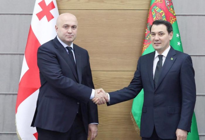 Türkmenistanyň Gruziýadaky ilçisi Gruziýanyň Içeri işler ministri bilen duşuşdy