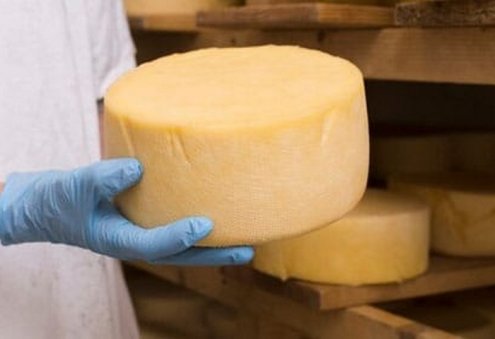 Орловская область отправила более 3 тыс кг сыров в Туркменистан