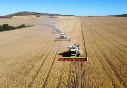 Kazakhstan Aims to Expand Kazakh Wheat Exports to Turkmenistan