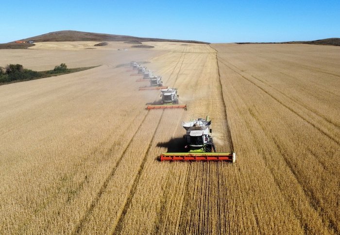 Казахстан планирует увеличить поставки казахской пшеницы на туркменский рынок
