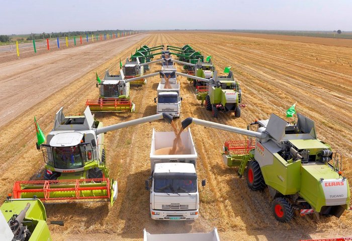 Turkmen Farmers Determined to Harvest 1.6 Million Tons of Wheat