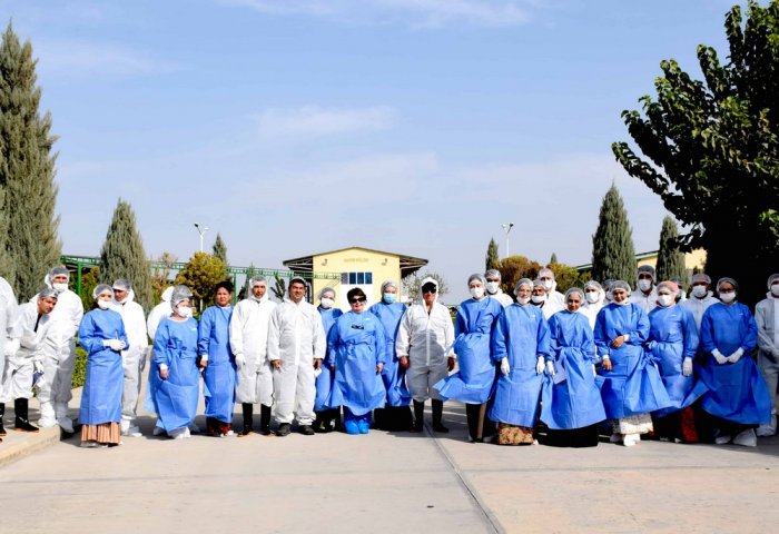 Turkmen Veterinarians Train in Modern Brucellosis Control Methods