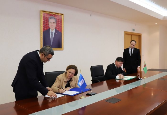 UNDP Enhances Cooperation With Turkmen Government in Digital Transformation