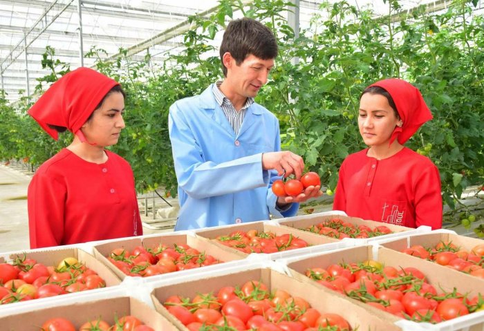 Туркменские частные сельхозпроизводители увеличивают объем экспорта